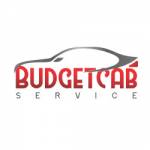 budgetcabs service Profile Picture