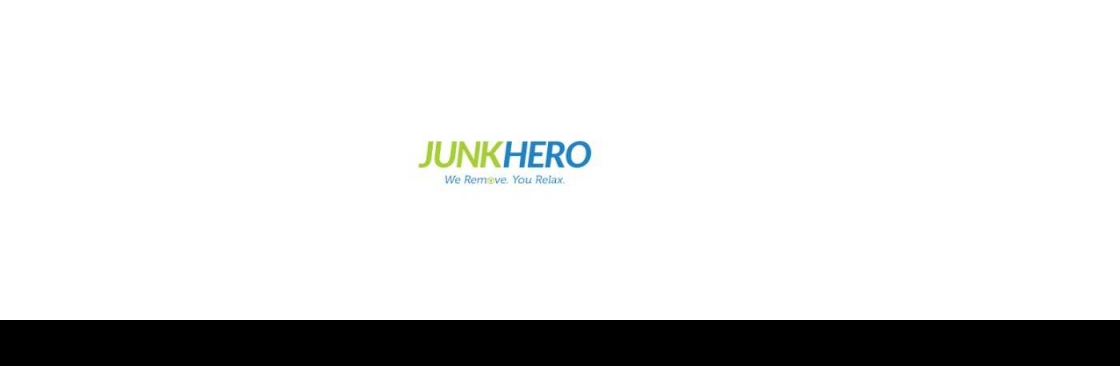 Junk Hero Cover Image