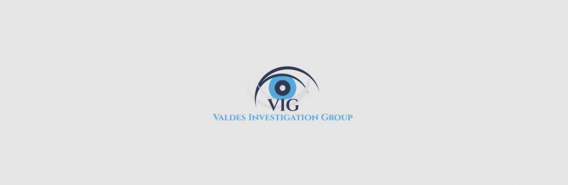 Valdes Investigation Group Cover Image