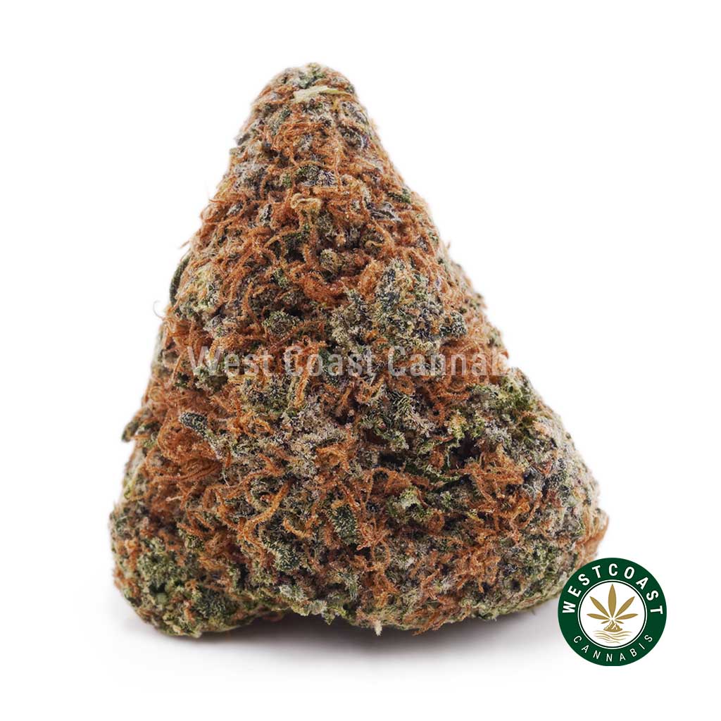 Buy Strain Blue Dream Online - Blue Dream AA Strain