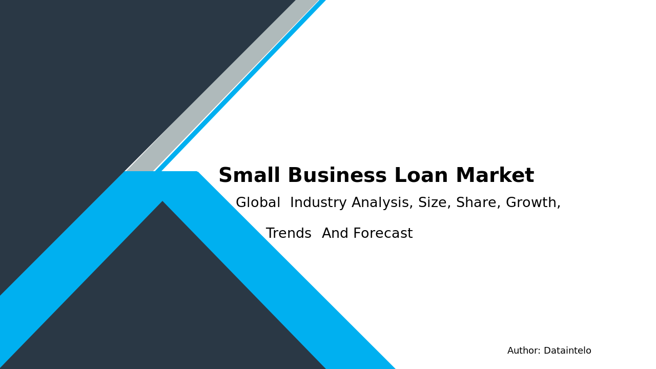 Small Business Loan Market Report | Global Forecast From 2023 To 2032