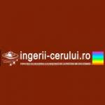 ingerii cerului Profile Picture