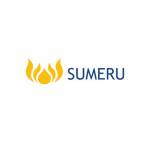 Sumeru Inc Profile Picture