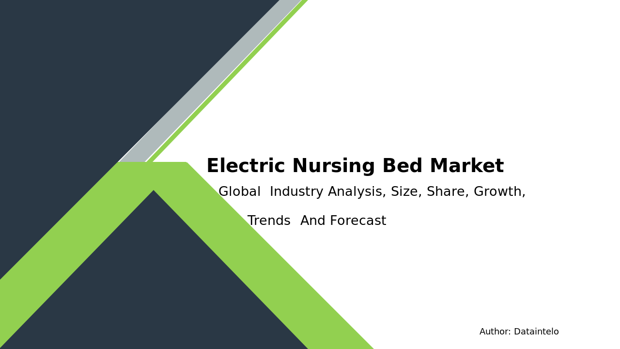 Electric Nursing Bed Market Research Report 2032